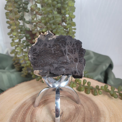 Permineralized Wood, Indonesia | 01
