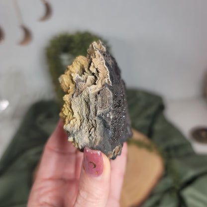 Permineralized Wood, Indonesia | 01