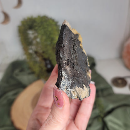 Permineralized Wood, Indonesia | 01