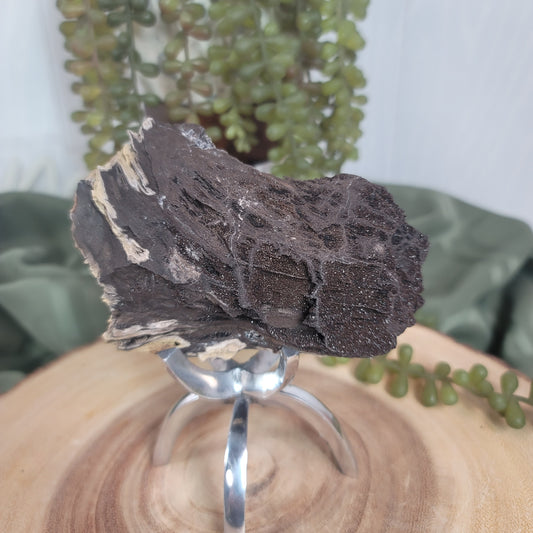 Permineralized Wood, Indonesia | 02