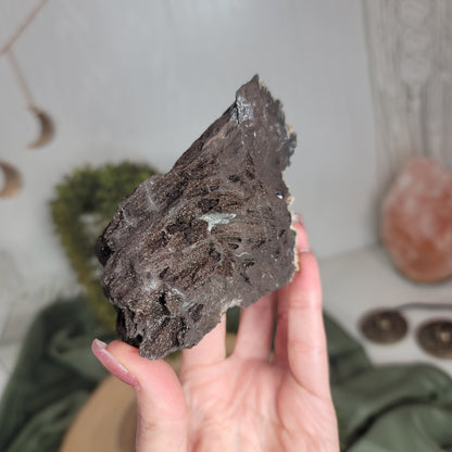 Permineralized Wood, Indonesia | 02