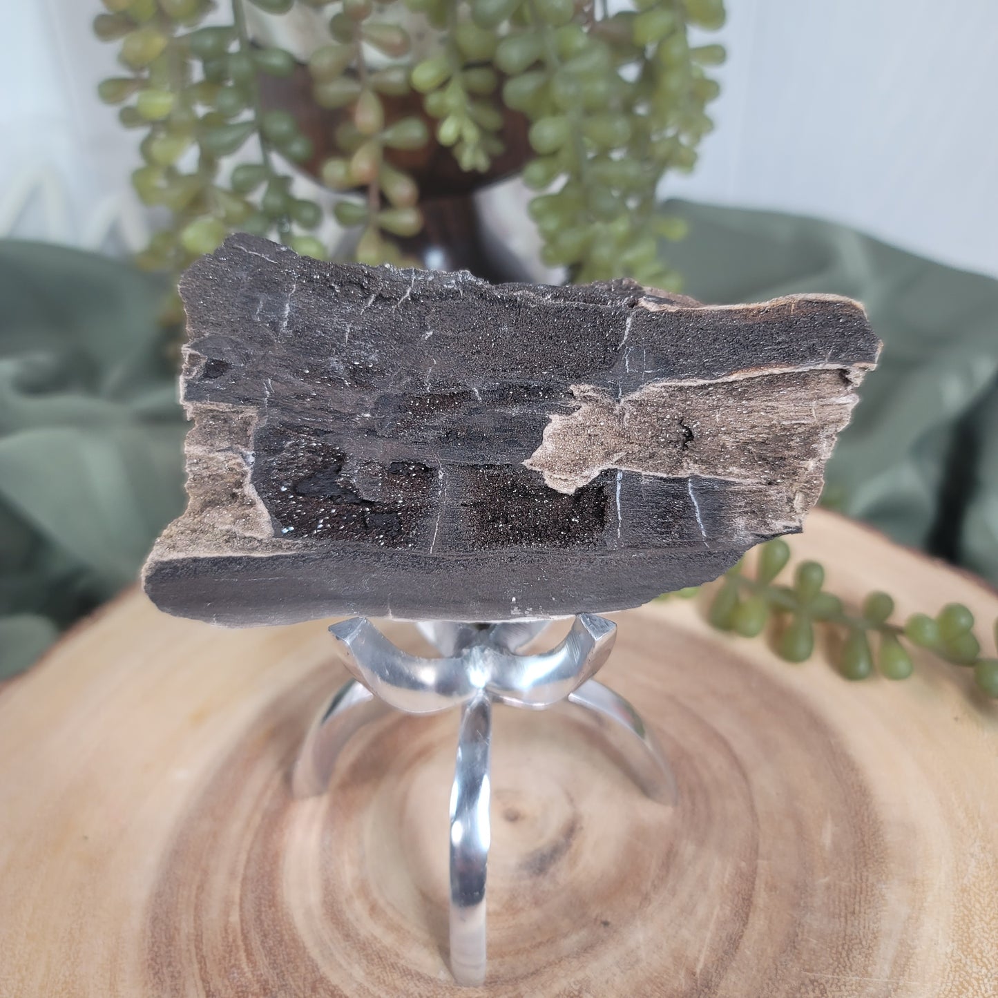 Permineralized Wood, Indonesia | 03