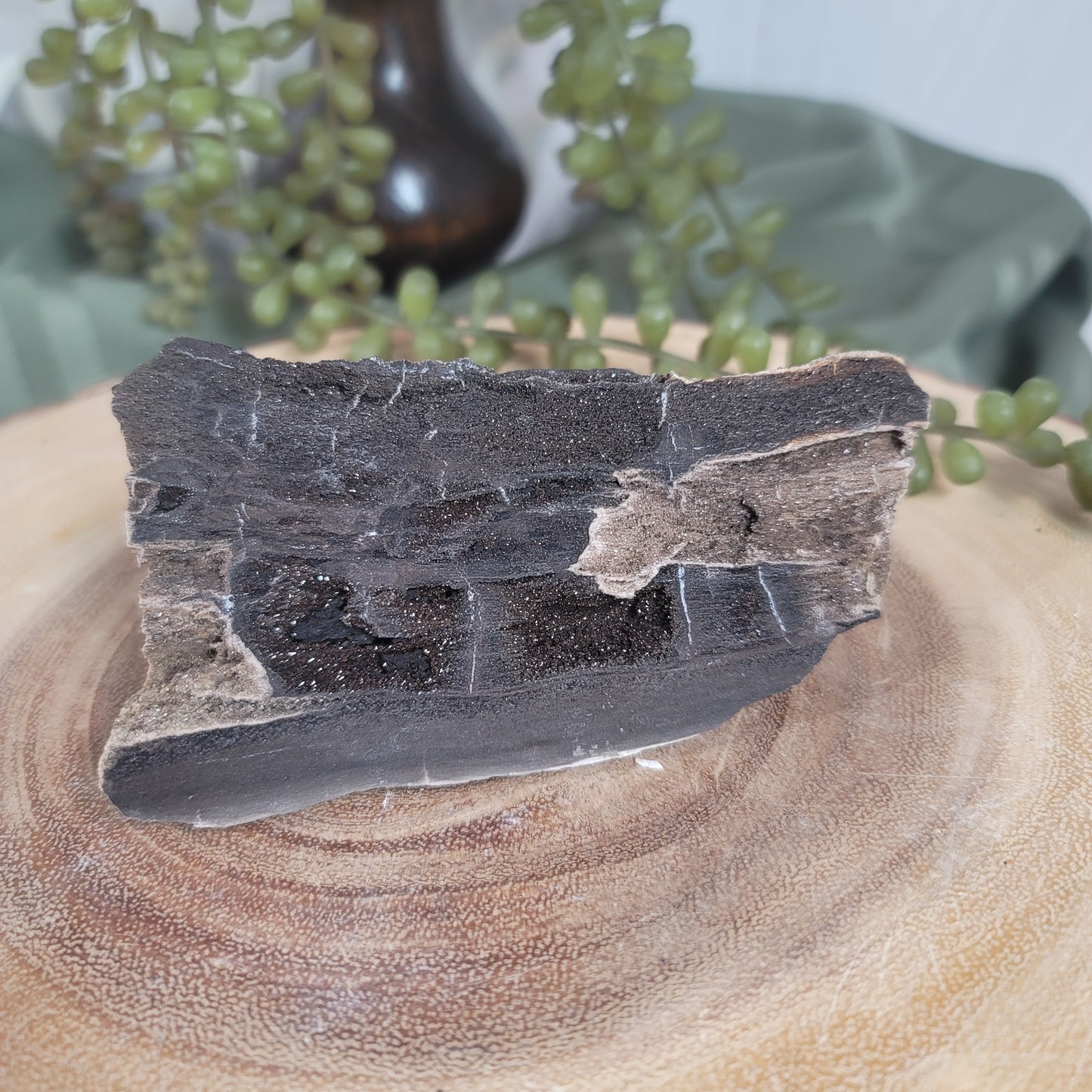 Permineralized Wood, Indonesia | 03