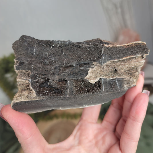 Permineralized Wood, Indonesia | 03