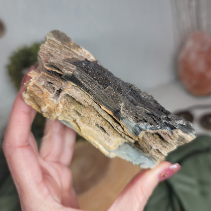 Permineralized Wood, Indonesia | 03
