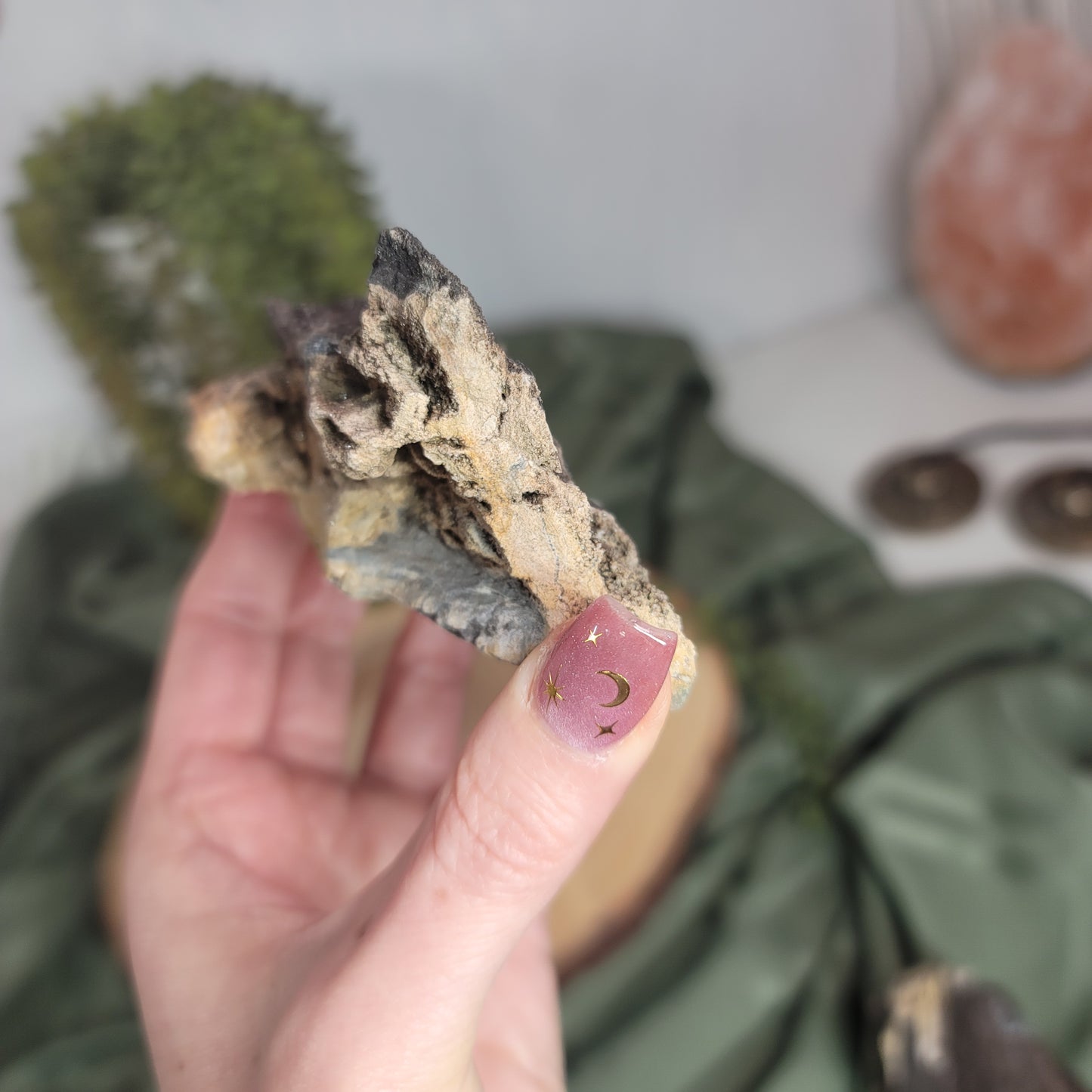 Permineralized Wood, Indonesia | 03