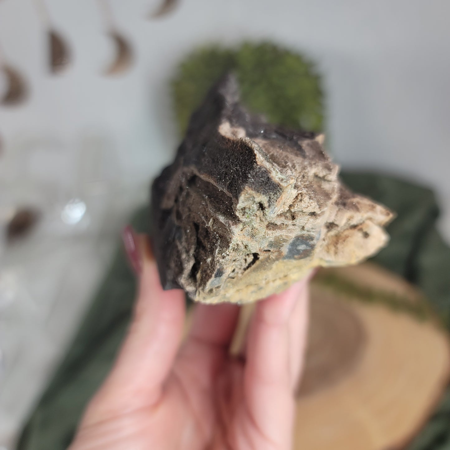 Permineralized Wood, Indonesia | 03