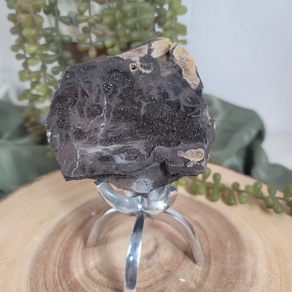 Permineralized Wood, Indonesia | 04