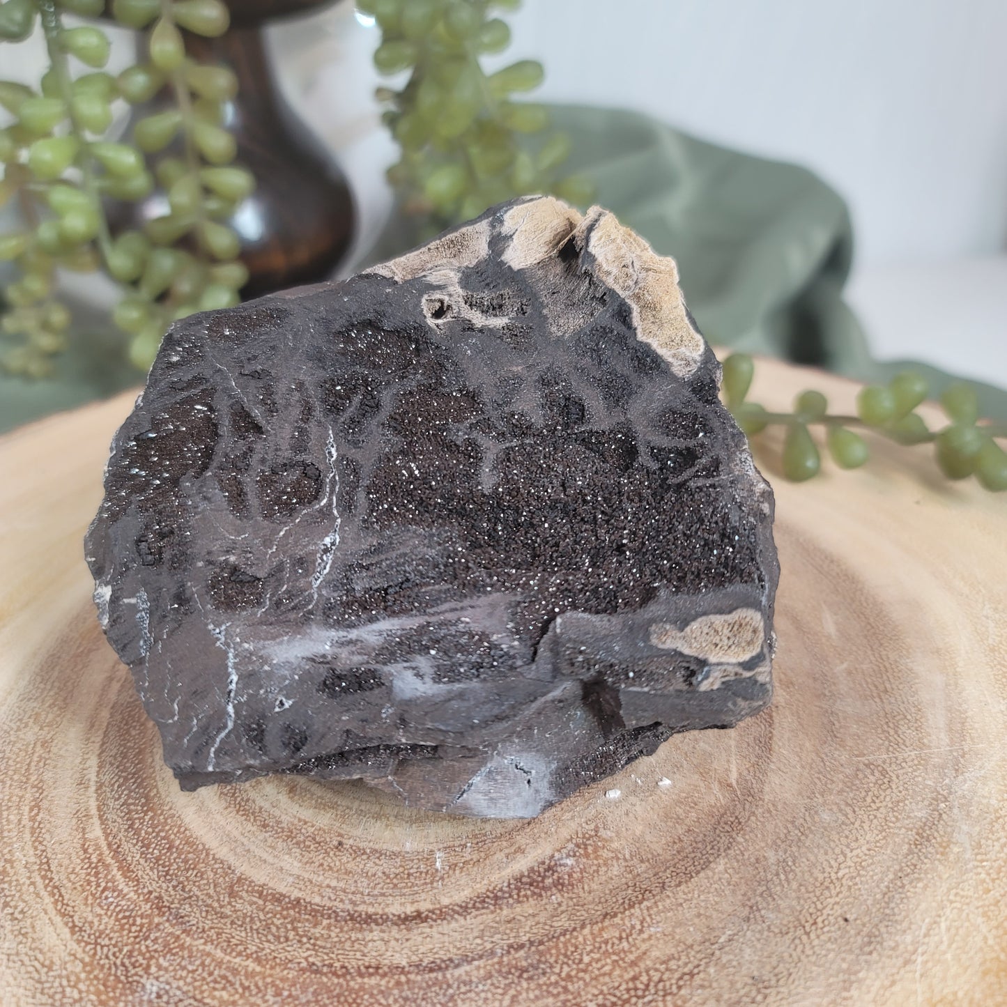 Permineralized Wood, Indonesia | 04