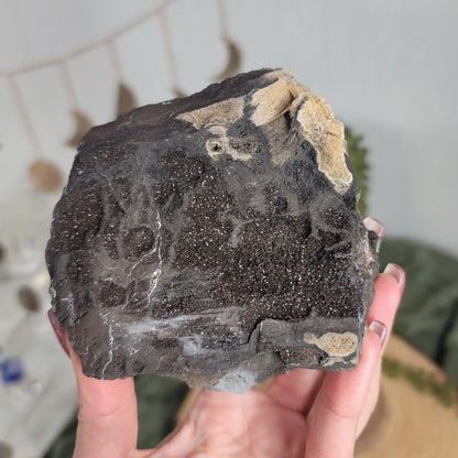 Permineralized Wood, Indonesia | 04