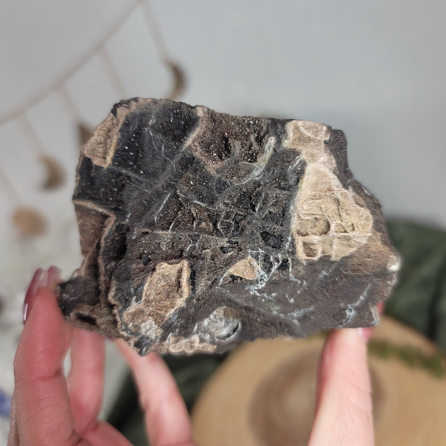 Permineralized Wood, Indonesia | 04
