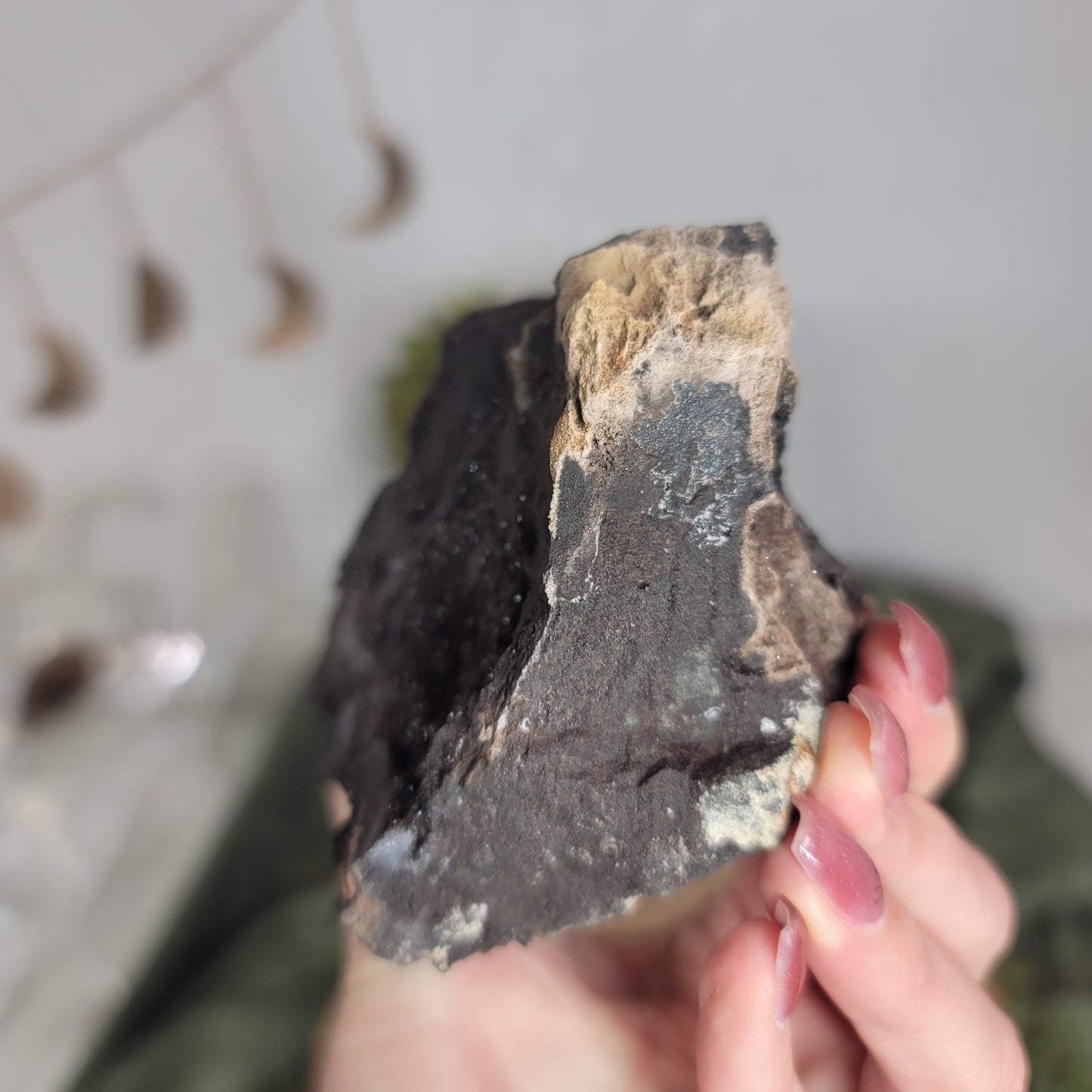Permineralized Wood, Indonesia | 04