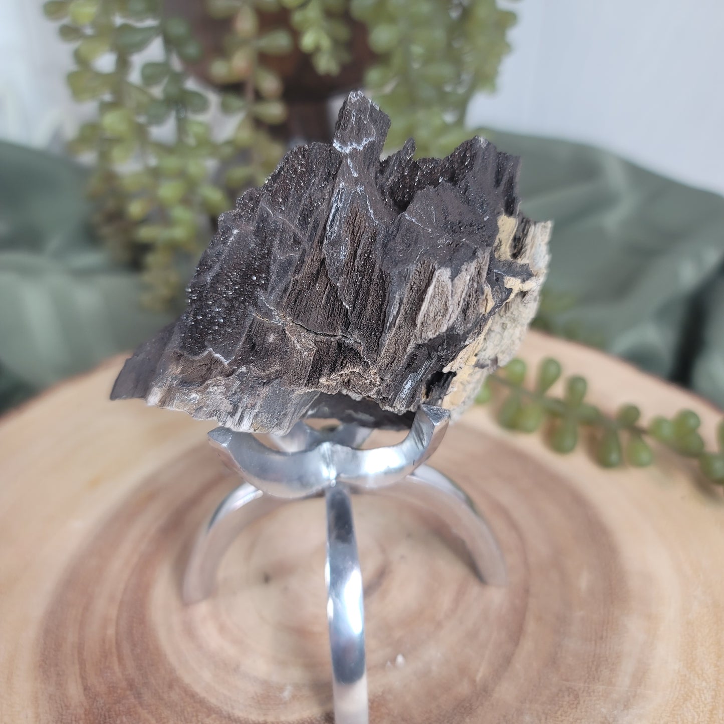 Permineralized Wood, Indonesia | 05