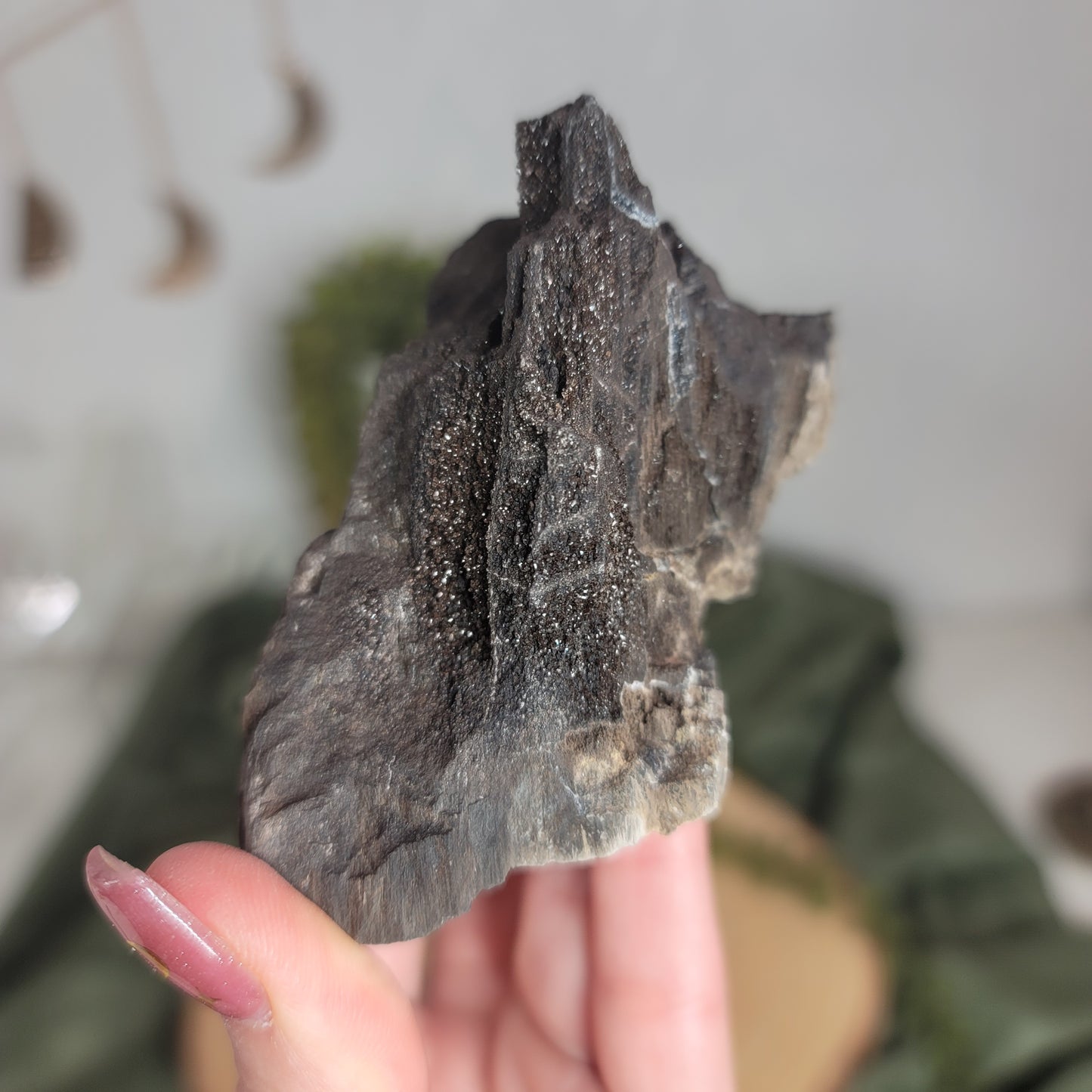 Permineralized Wood, Indonesia | 05
