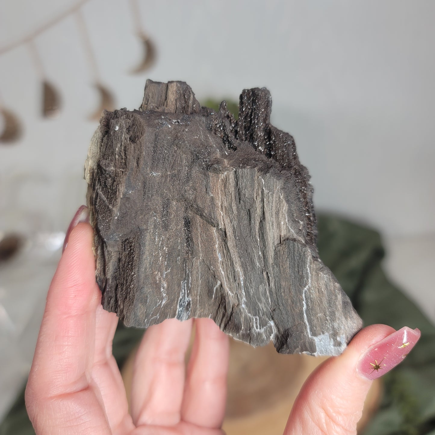 Permineralized Wood, Indonesia | 05