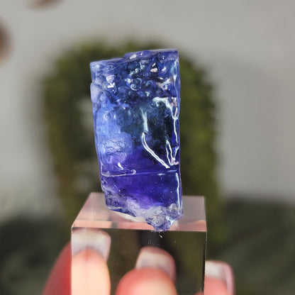Blue Halite from Tuzluca, Igdir Province, Turkey | 01