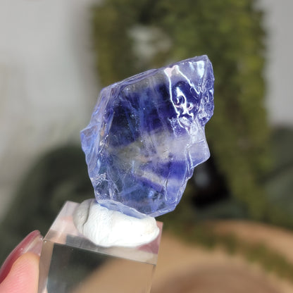 Blue Halite from Tuzluca, Igdir Province, Turkey | 02