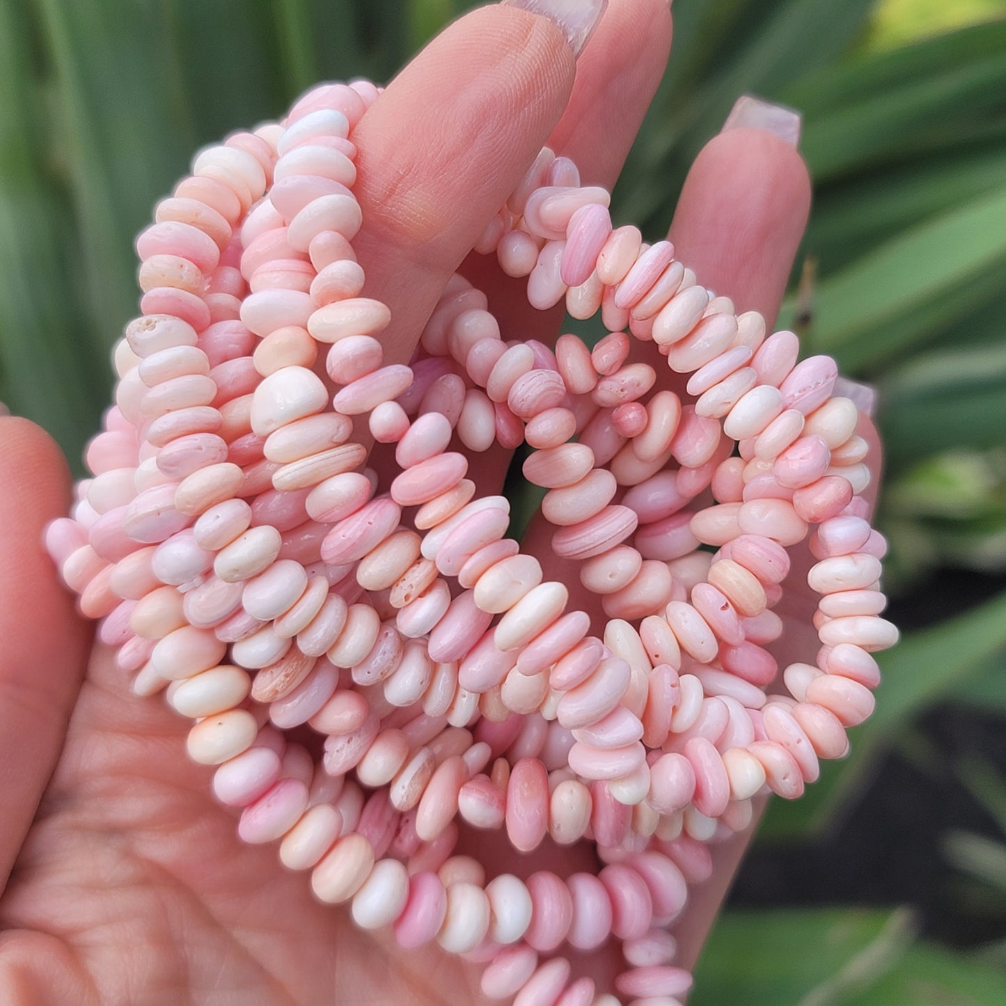 Pink Conch Shell Beaded Bracelet | Soothing, Self-Love, Compassion