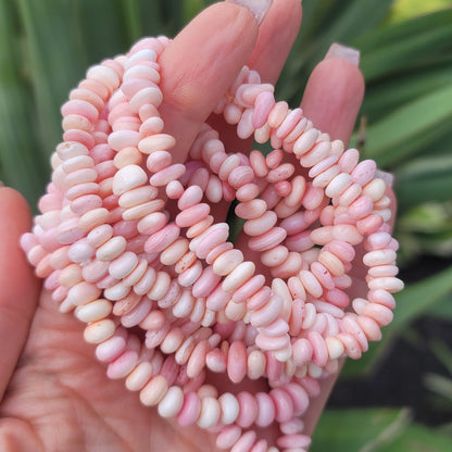 Pink Conch Shell Beaded Bracelet | Soothing, Self-Love, Compassion