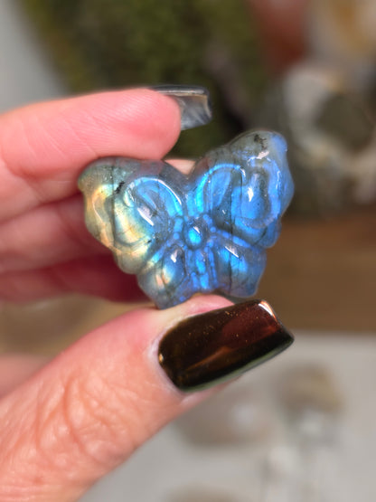 Labradorite Butterfly Carving | Intuitive Pick
