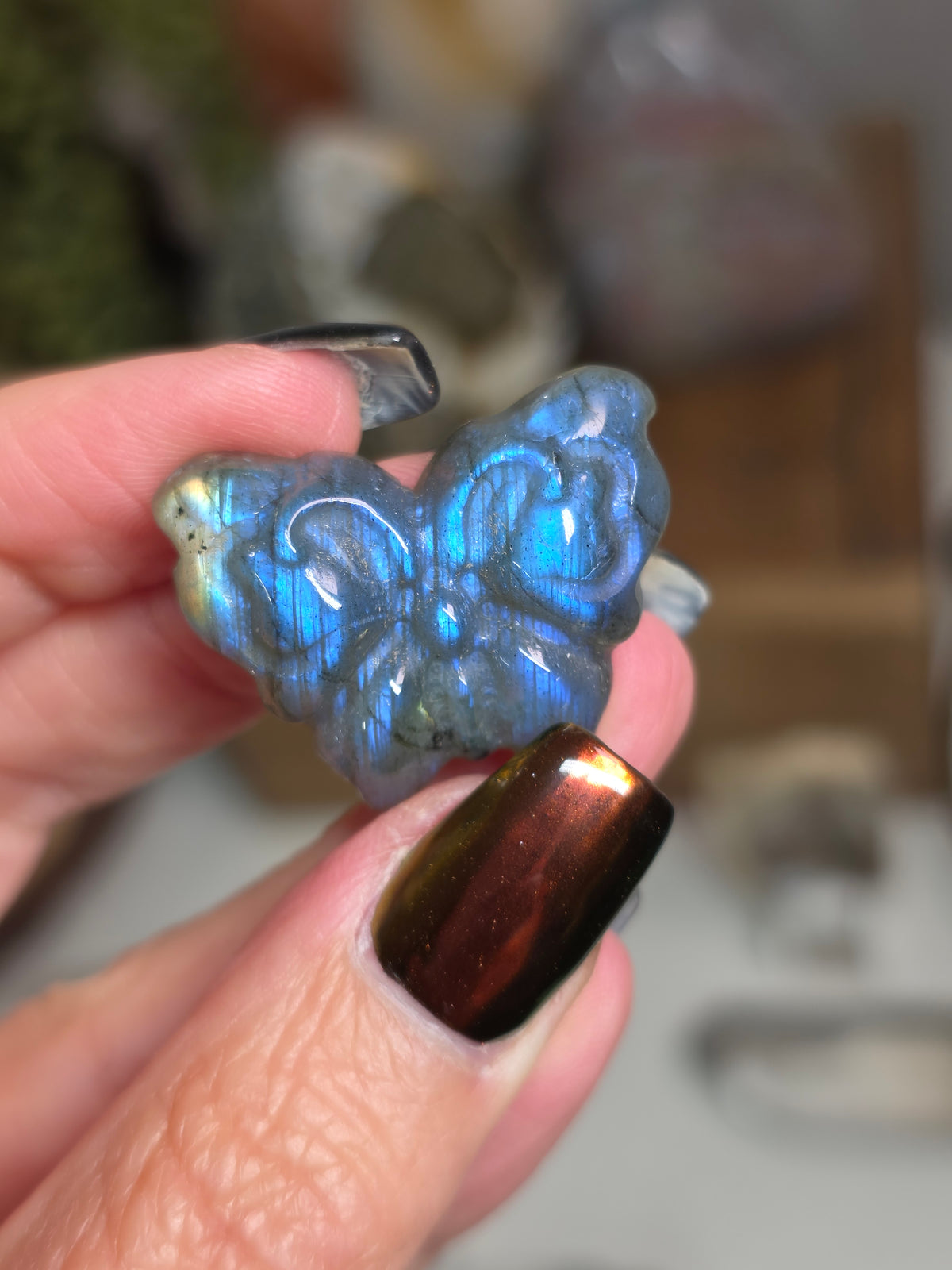 Labradorite Butterfly Carving | Intuitive Pick