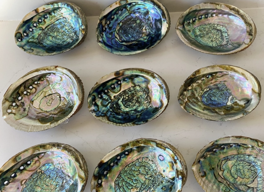 Wellness Smudge Set: Sage, Abalone Shell, Turkey Feather