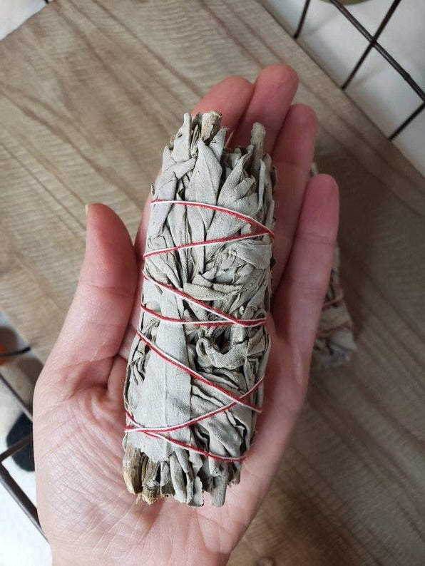 Wellness Smudge Set: Sage, Abalone Shell, Turkey Feather
