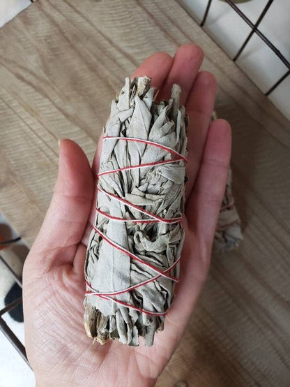 Wellness Smudge Set: Sage, Abalone Shell, Turkey Feather