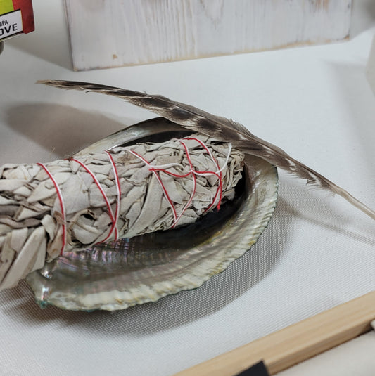 Wellness Smudge Set: Sage, Abalone Shell, Turkey Feather