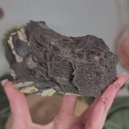 Permineralized Wood, Indonesia | 02