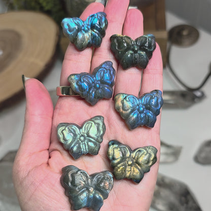 Labradorite Butterfly Carving | Intuitive Pick