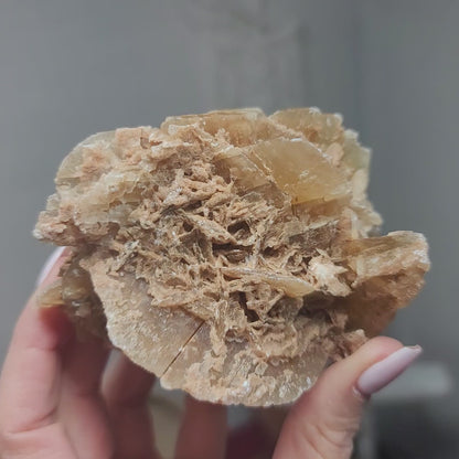 Desert Rose Specimen, Morocco – Stone of Stillness & Inner Clarity - 003