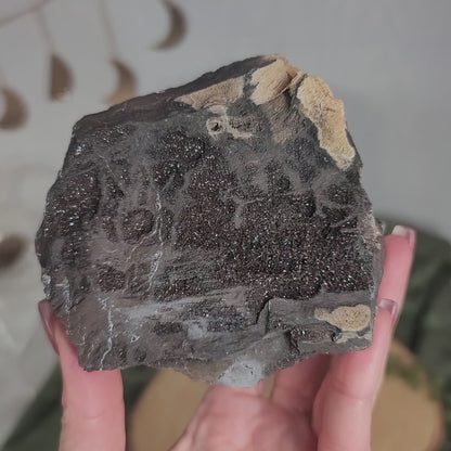Permineralized Wood, Indonesia | 04