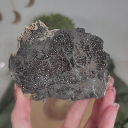 Permineralized Wood, Indonesia | 01