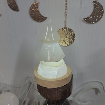 Mexican Onyx Tree Lamp with USB LED Wooden Base | 003