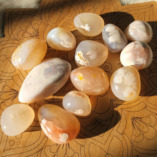 Flower Agate || nourishing, soothing, self confidence