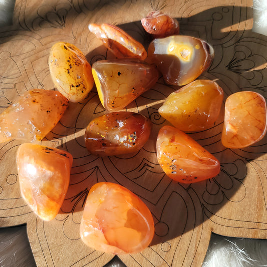 Carnelian || passion, creativity, stability